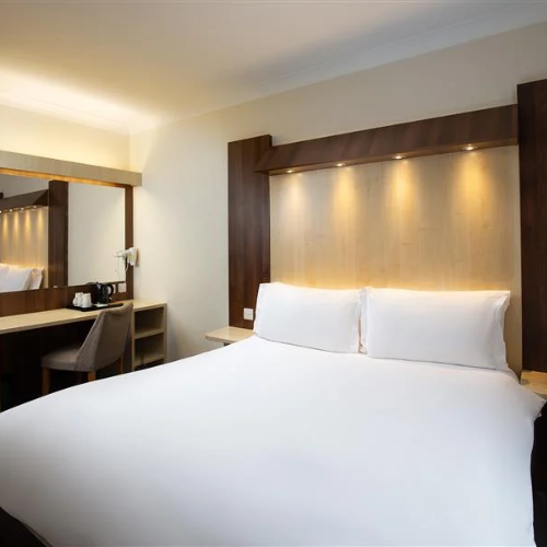 Hotel Rooms (70)