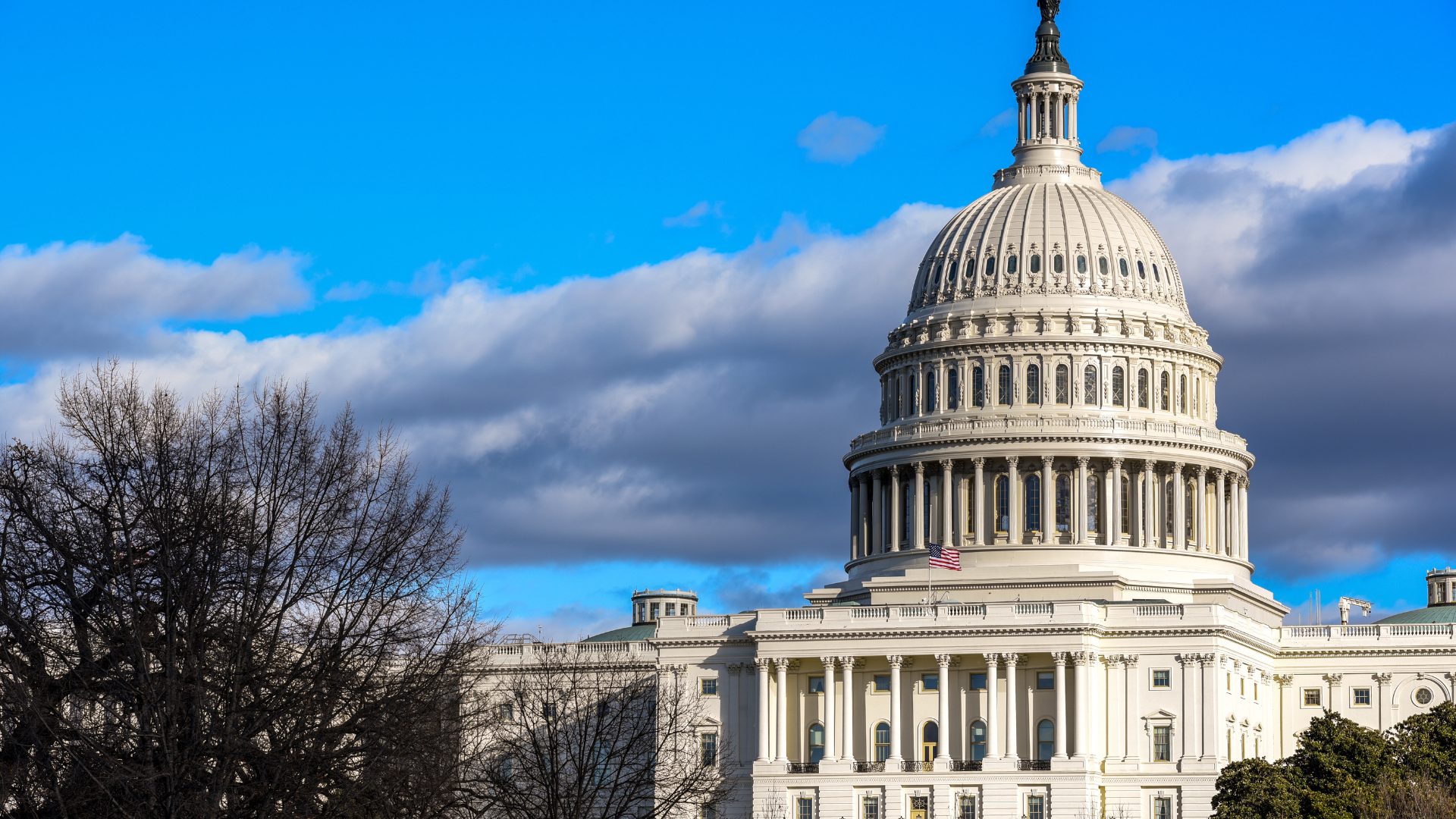 Capitol in Washington