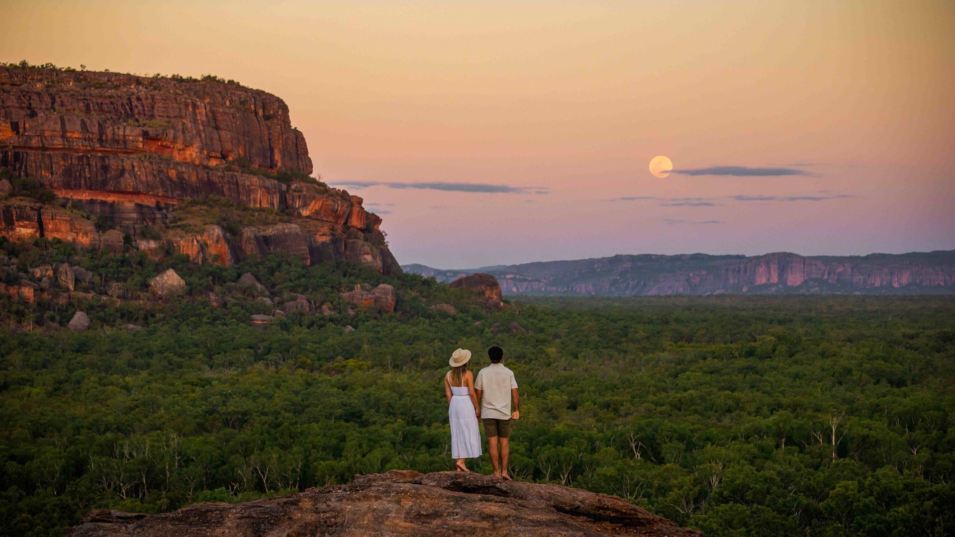 kakadu cover