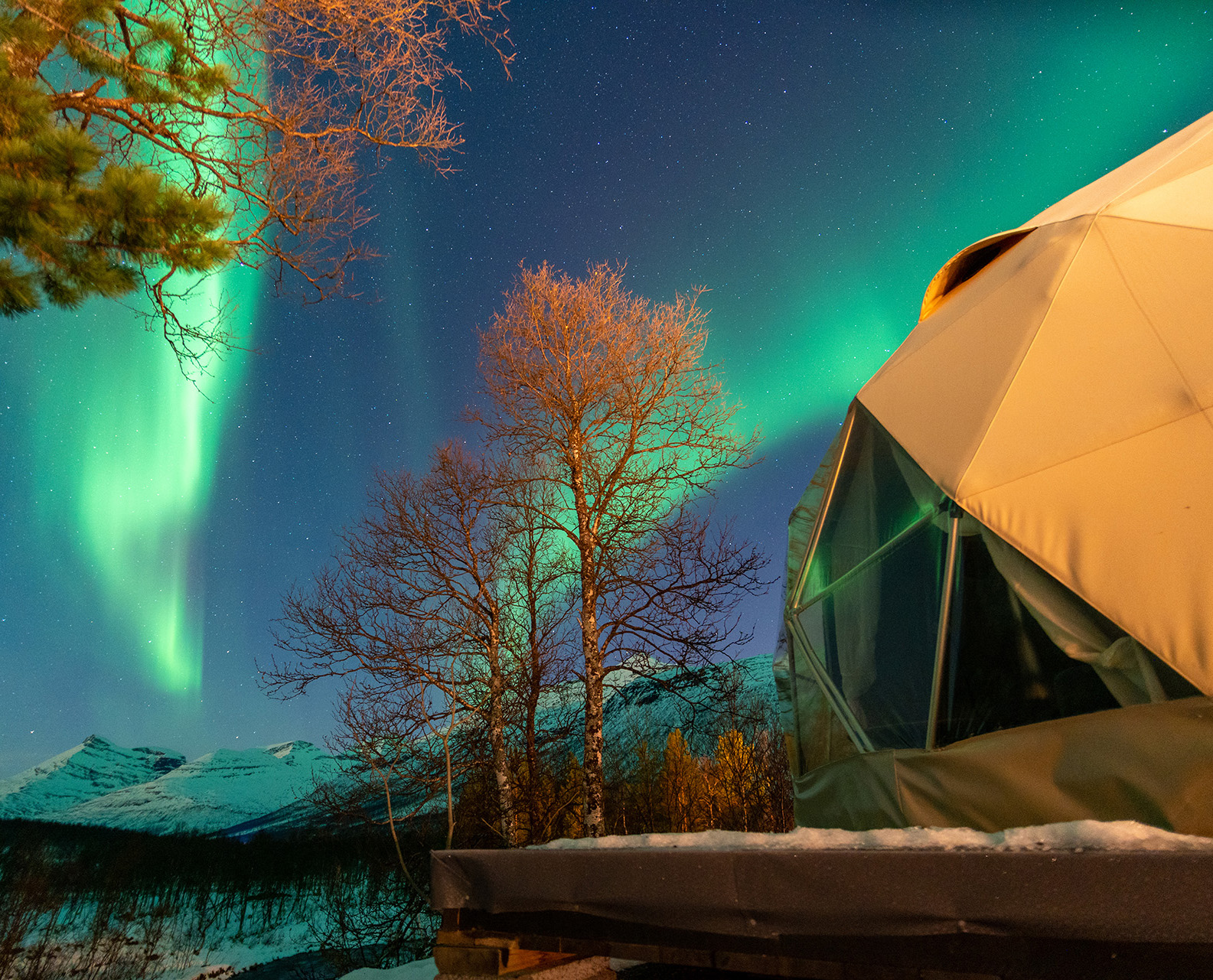 Aurora borealis glows green across the night sky above a snowy campsite, framed by bare trees and a beige geodesic tent in the foreground.