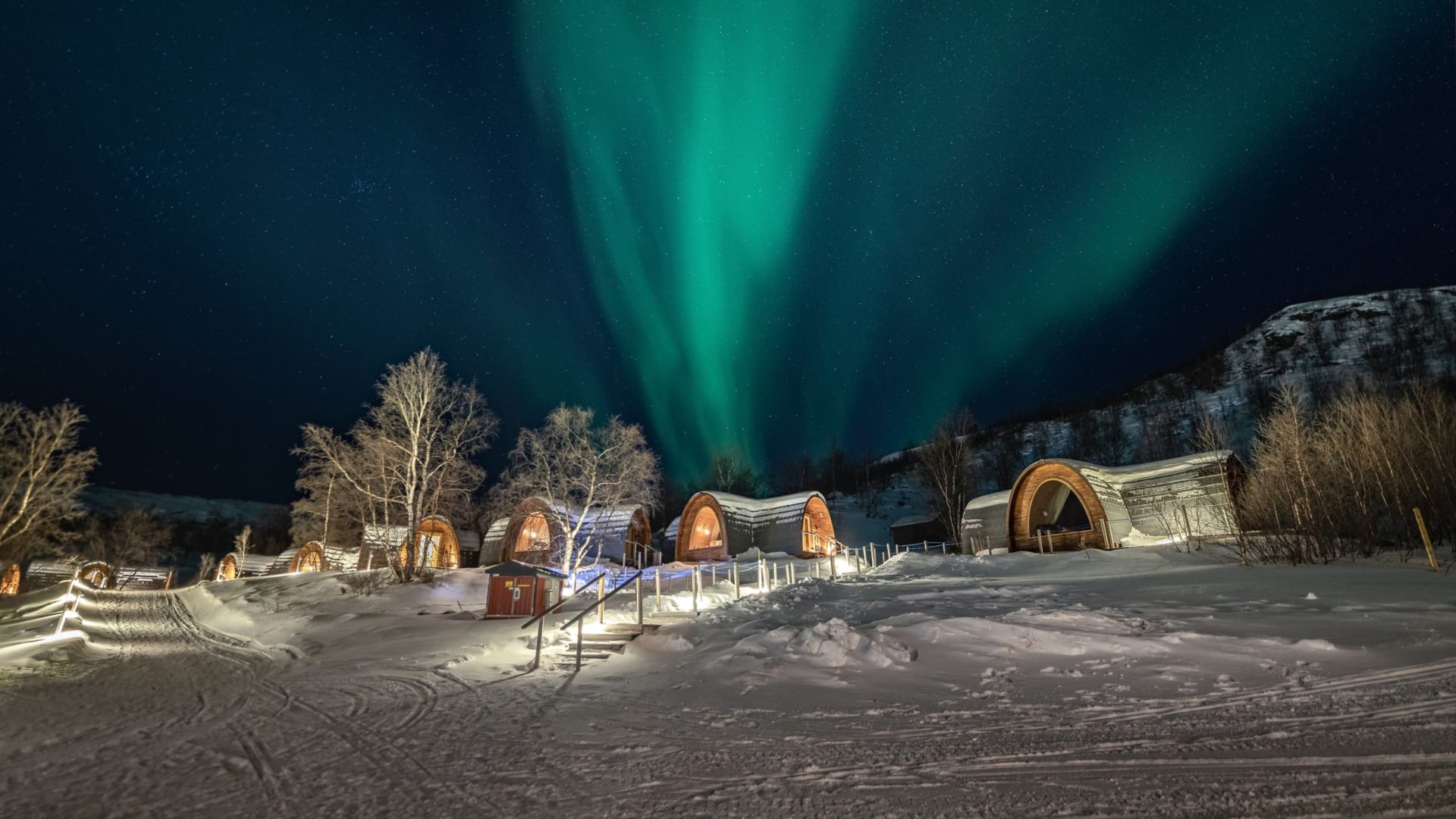 Northern Lights
