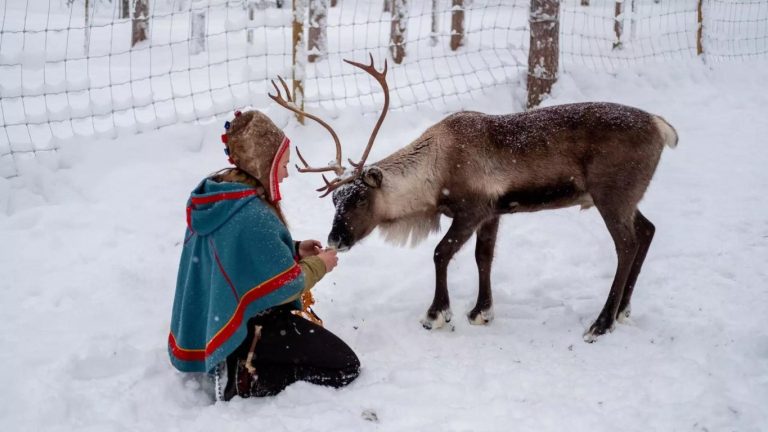 Woman Feeding a Reindeer