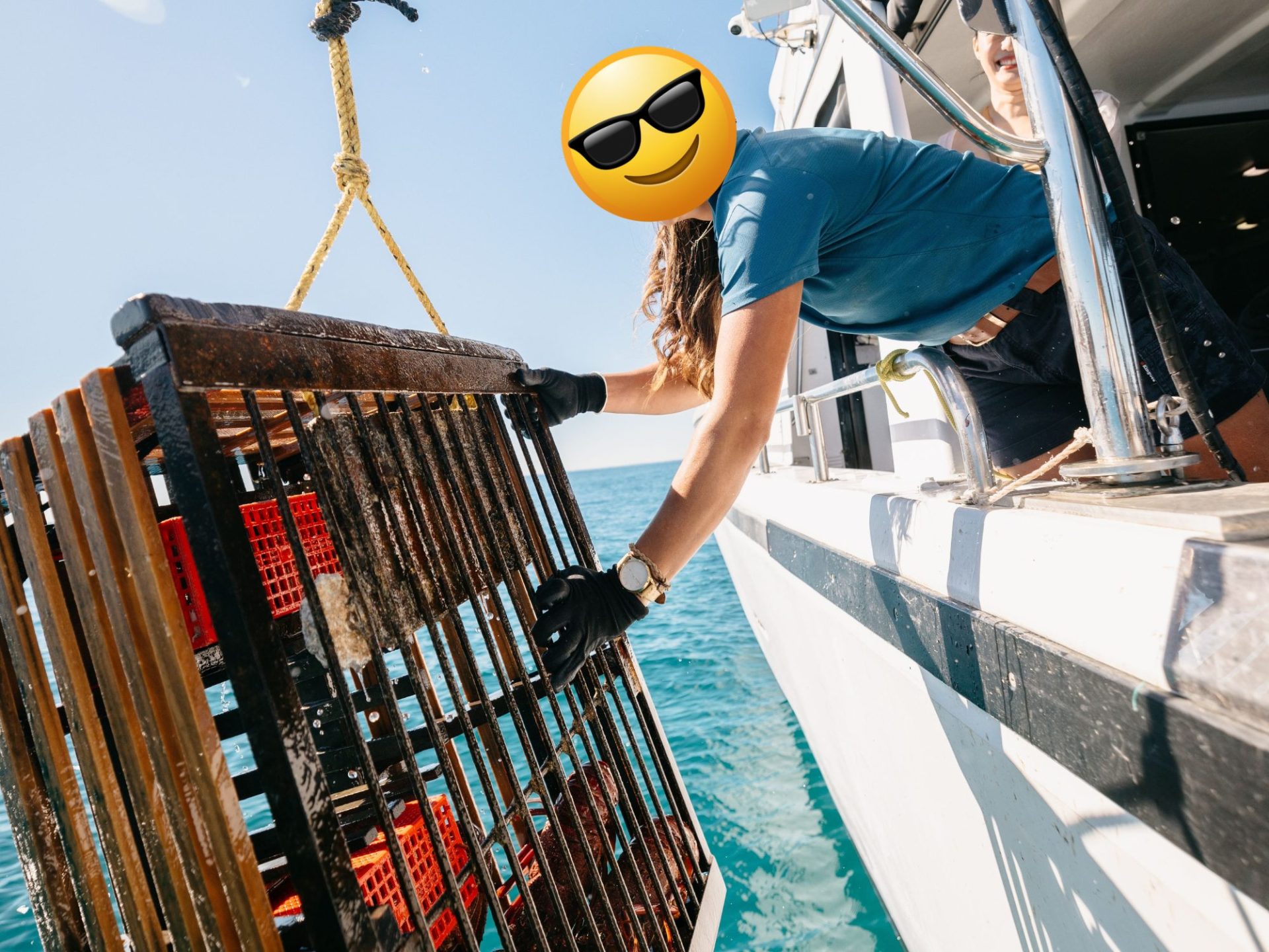 Lobster pulling