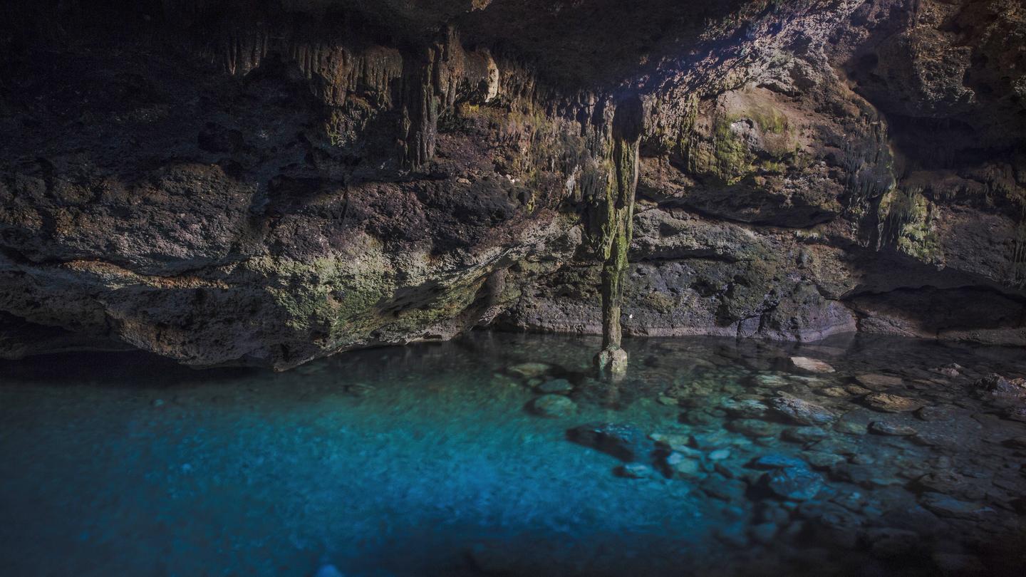 11D8N Mayan Treasures Of Mexico (Flights Included)