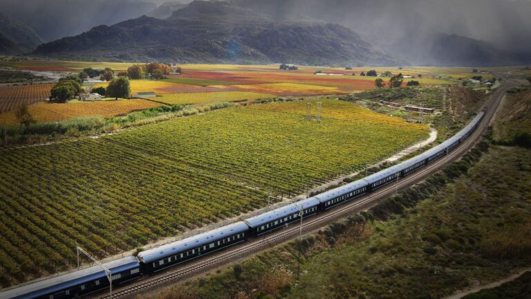 A long passenger train curves through a valley with colorful vineyard fields and distant hills on a cloudy day.